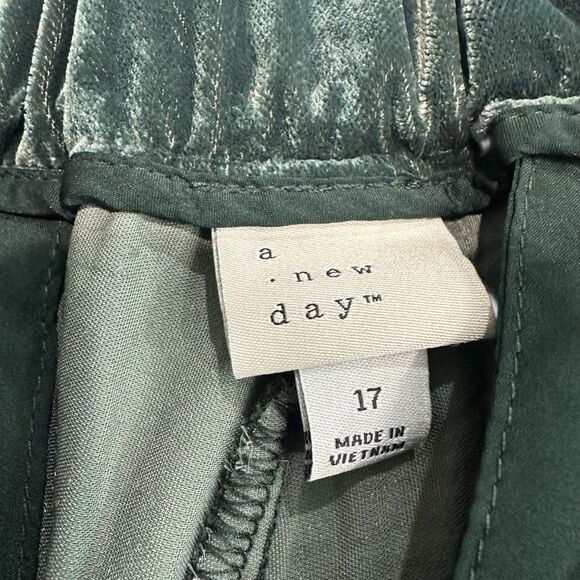 A New Day Womens Emerald Green Velvet Trouser Pants, Plus 17 - Picture 10 of 12